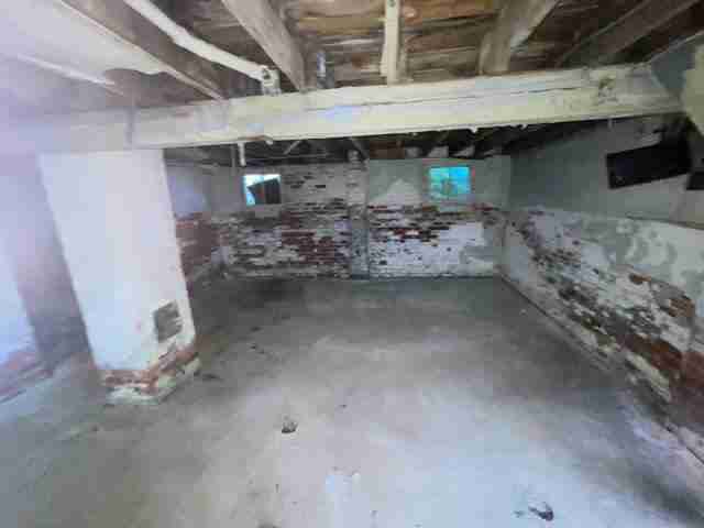 17257 bloom (46).jpg